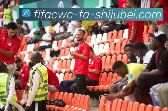 世界杯直播平台生态图